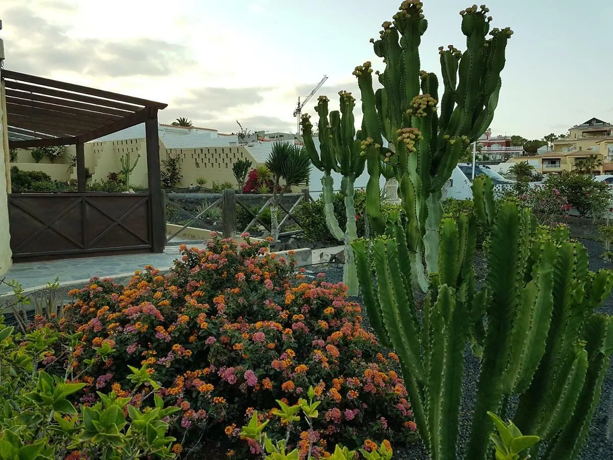 Apartment Los Hibiscos Costa Calma Spagna